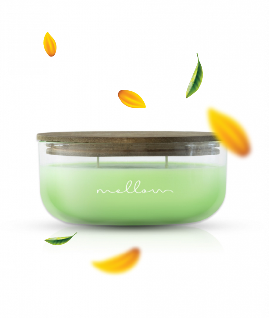 Dišeča sveča Ivy - Mellow